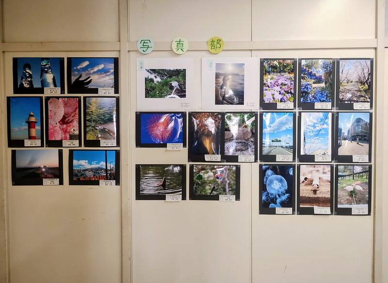 校内展示の様子